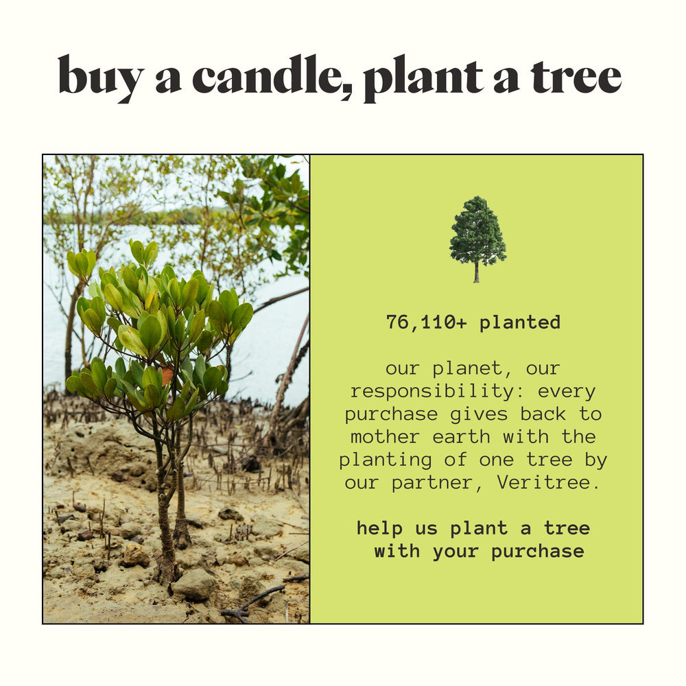 Vegan, cruelty-free candle ingredients and care