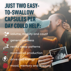 Saw palmetto and other active ingredients for male fertility support