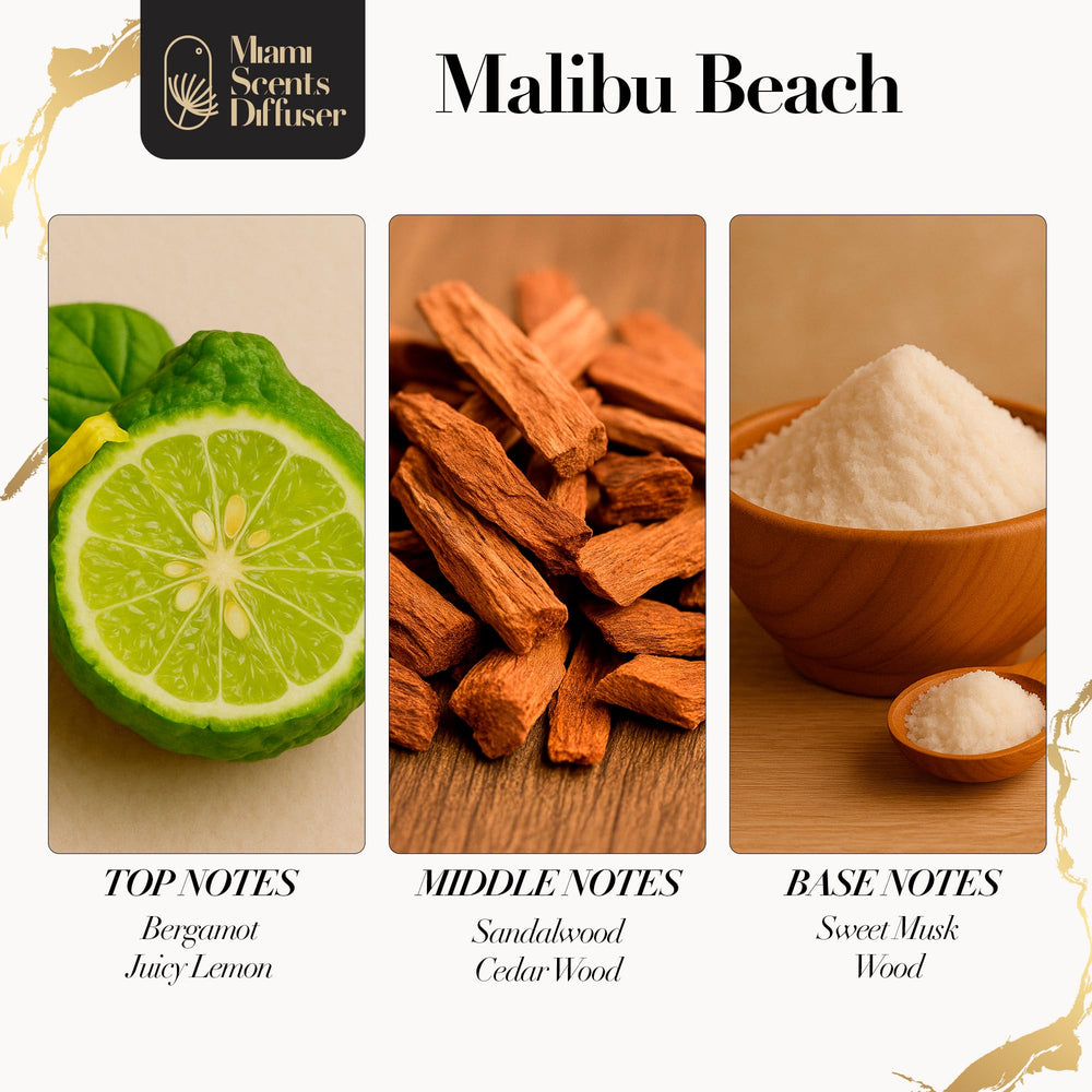 Bergamot and lemon notes in Malibu Beach Scent