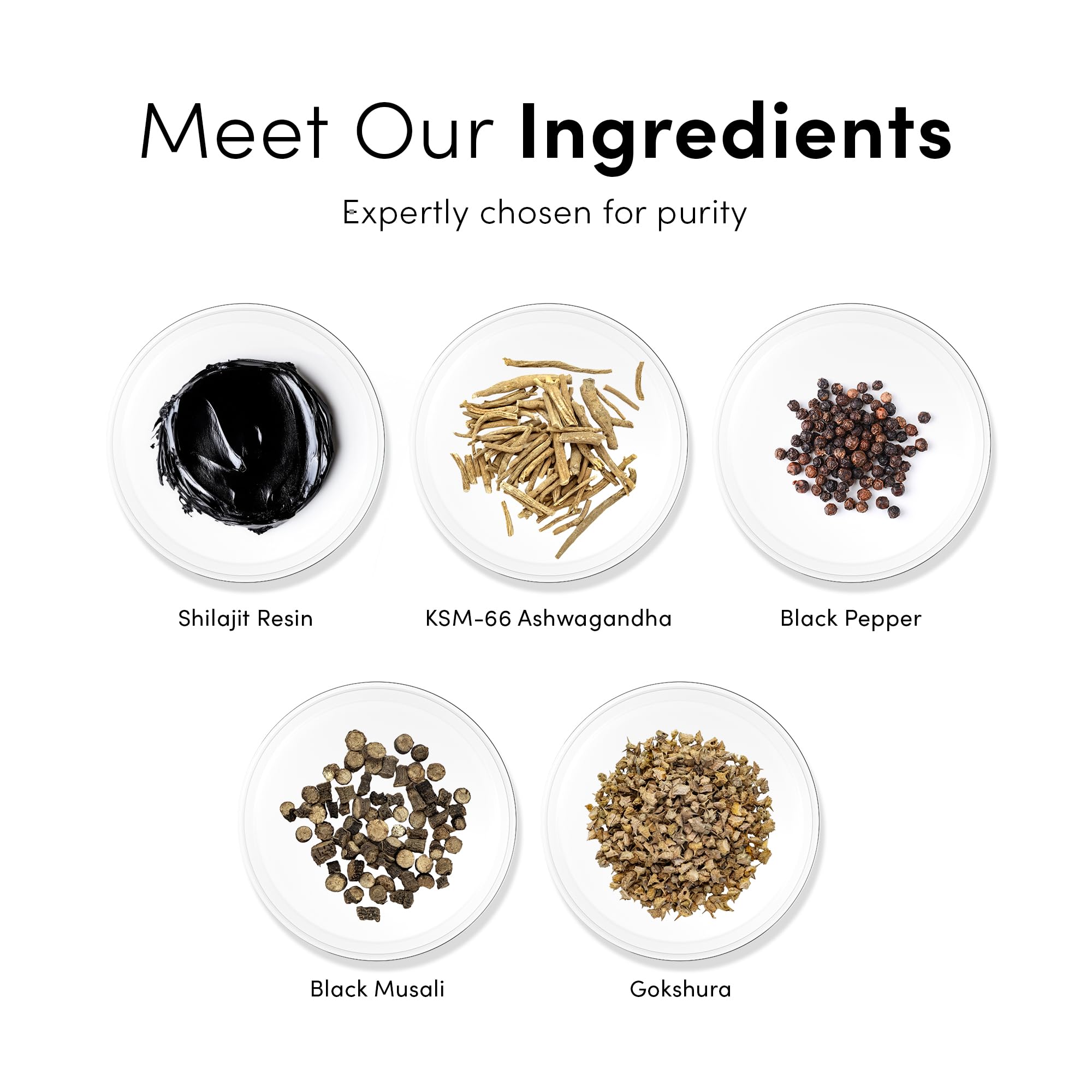 Sugar-free formulation with chicory root inulin
