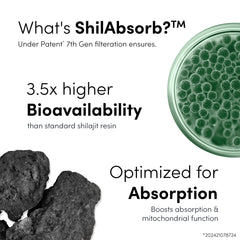 ShilAbsorb bioavailability technology claim