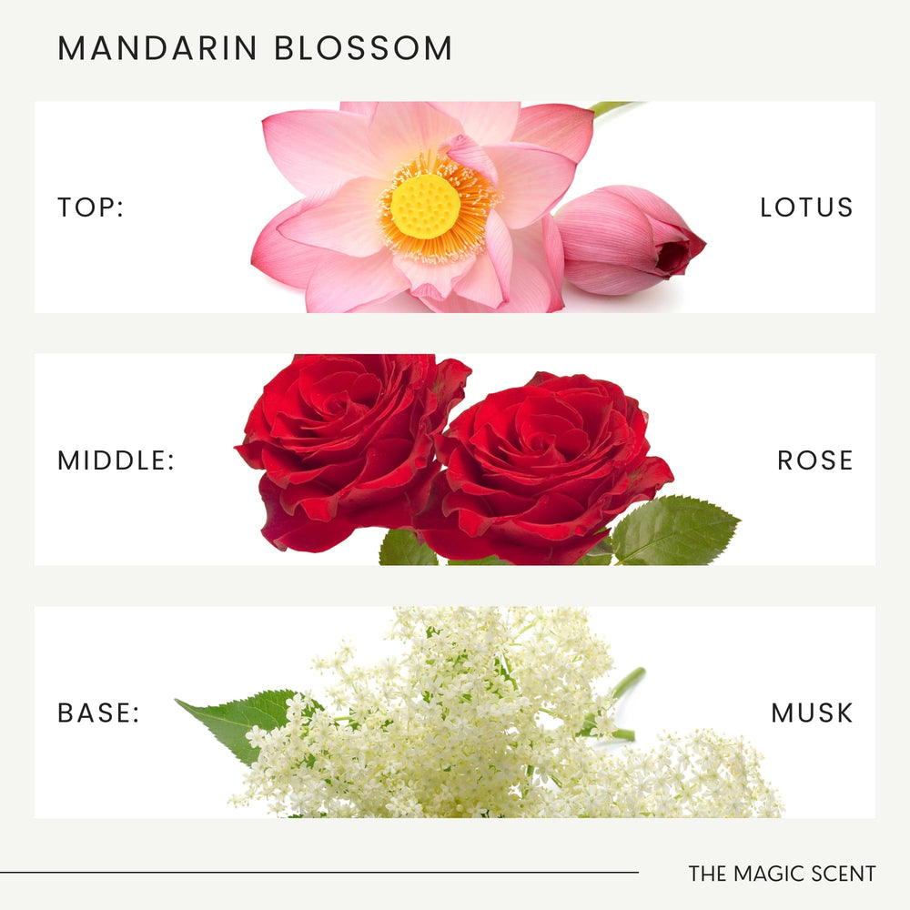 Living room with Mandarin Blossom diffuser in use