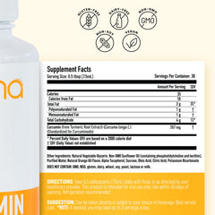 Absorption concept graphic illustrating liposomal delivery and bioavailability