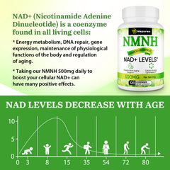 Nutritional facts label for Mapurwn NMNH 500mg serving