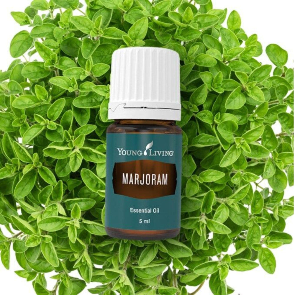 Diffuser with marjoram essential oil in a calming room