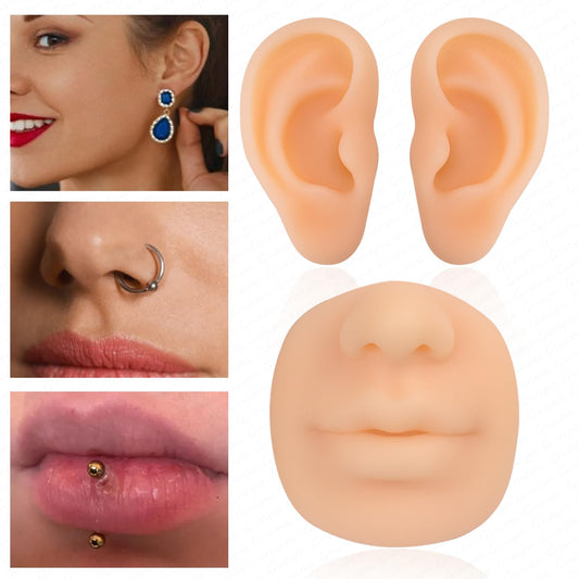 MARLLOGIVA realistic right ear model ideal for earring display and technique refining