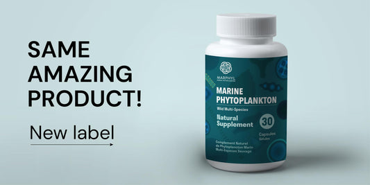 Back panel of MARPHYL capsules showing dosage and ingredients