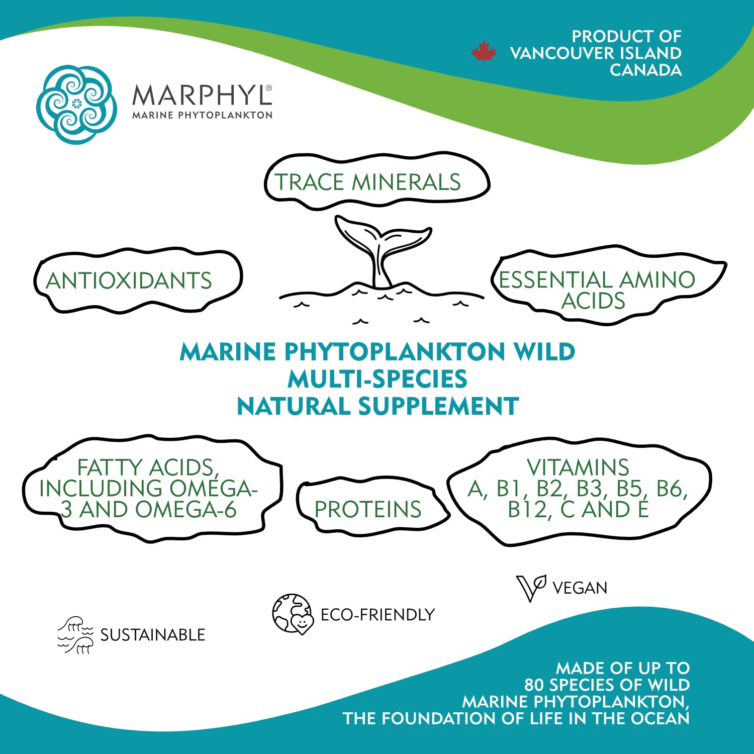 Close-up of MARPHYL ingredients on label