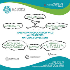 Close-up of MARPHYL ingredients on label