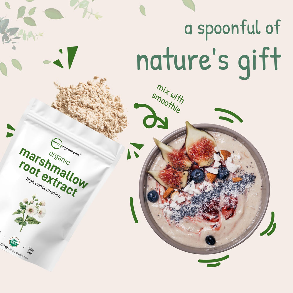 Digestive health support concept with marshmallow root powder