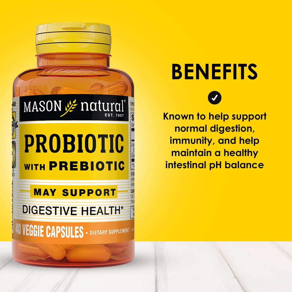 Inulin prebiotic ingredient visual
