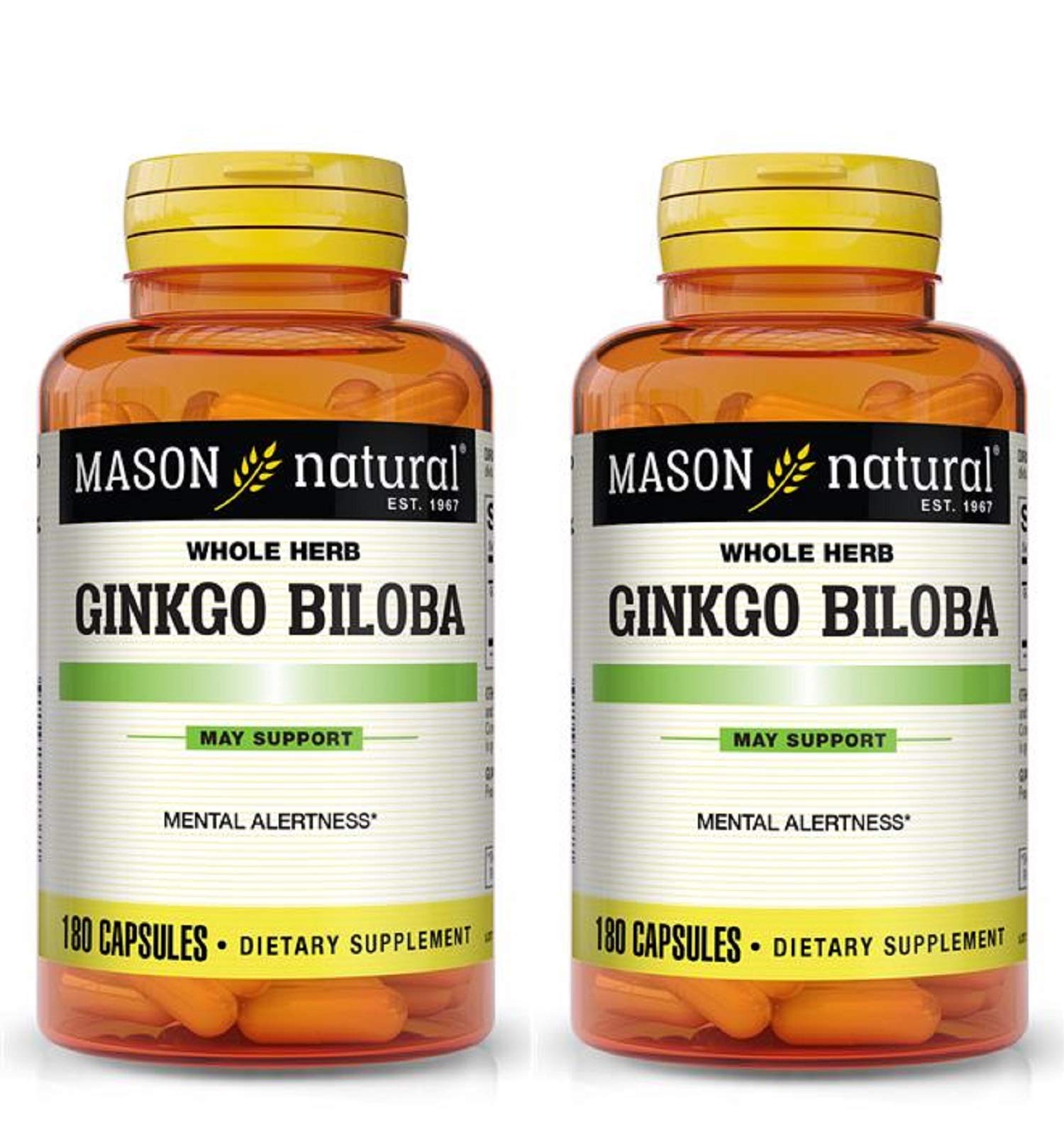 Mason Vitamins Ginkgo Biloba 500 mg – 180 capsules per bottle, 2 bottles (360 capsules) – product image 1