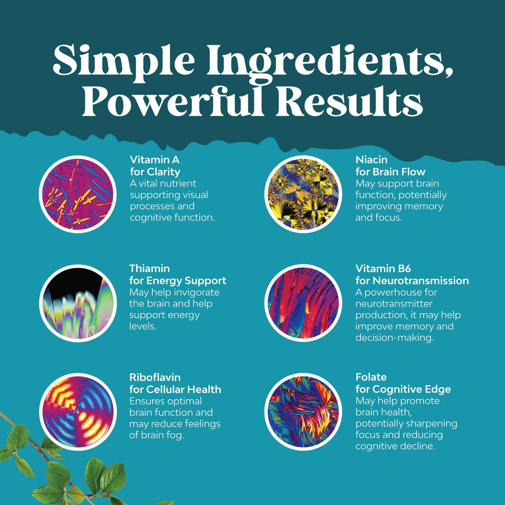 Graphic of key ingredients: phosphatidylserine, DMAE, DHA, GABA, and B vitamins
