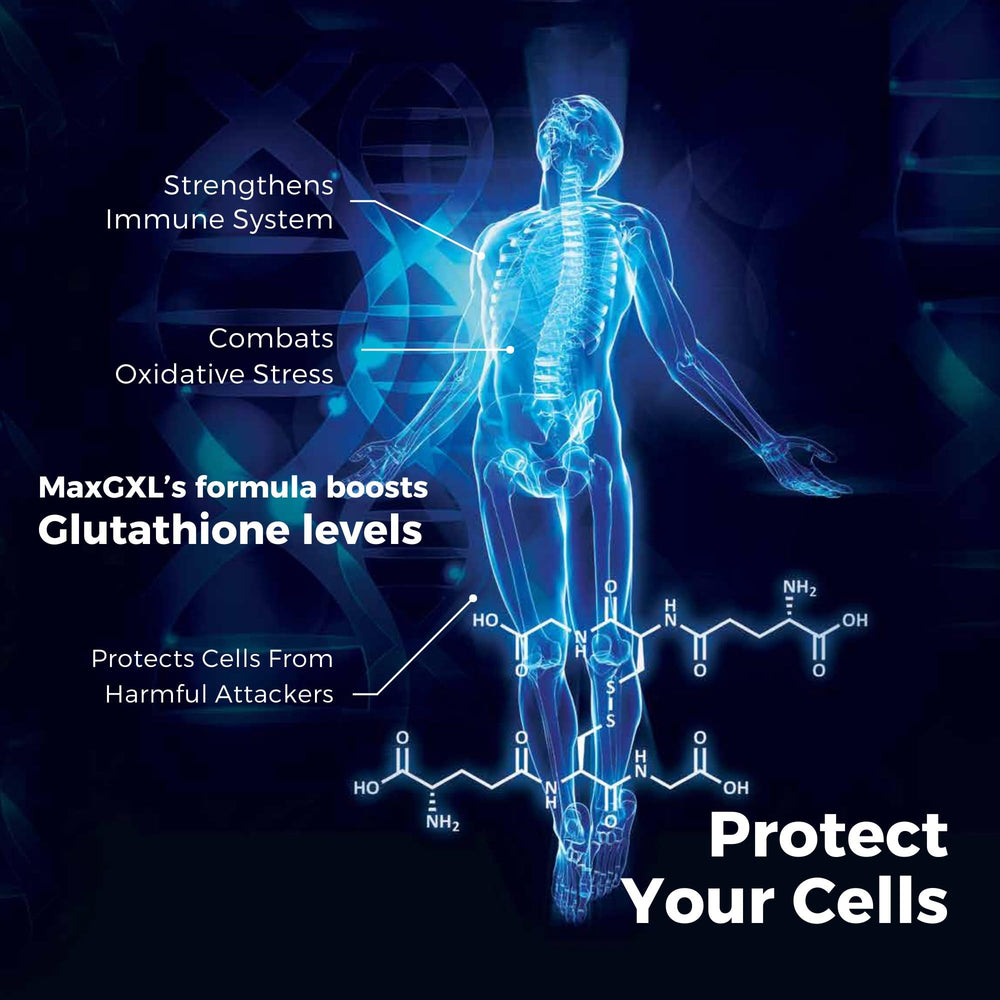 Antioxidant and immune support concept for Max GXL