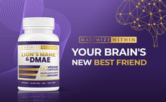 Ingredients highlight and supplement facts of Lion's Mane & DMAE