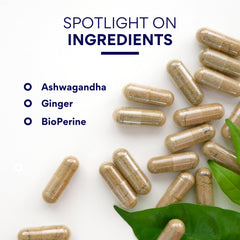 Maximum strength Ashwagandha 1500mg graphic