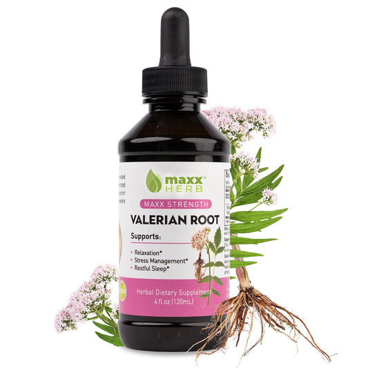 Maxx Herb Valerian Root Extract liquid 4 oz bottle