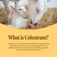 Grass-fed goats symbol beside Mayfair Naturals Colostrum Powder