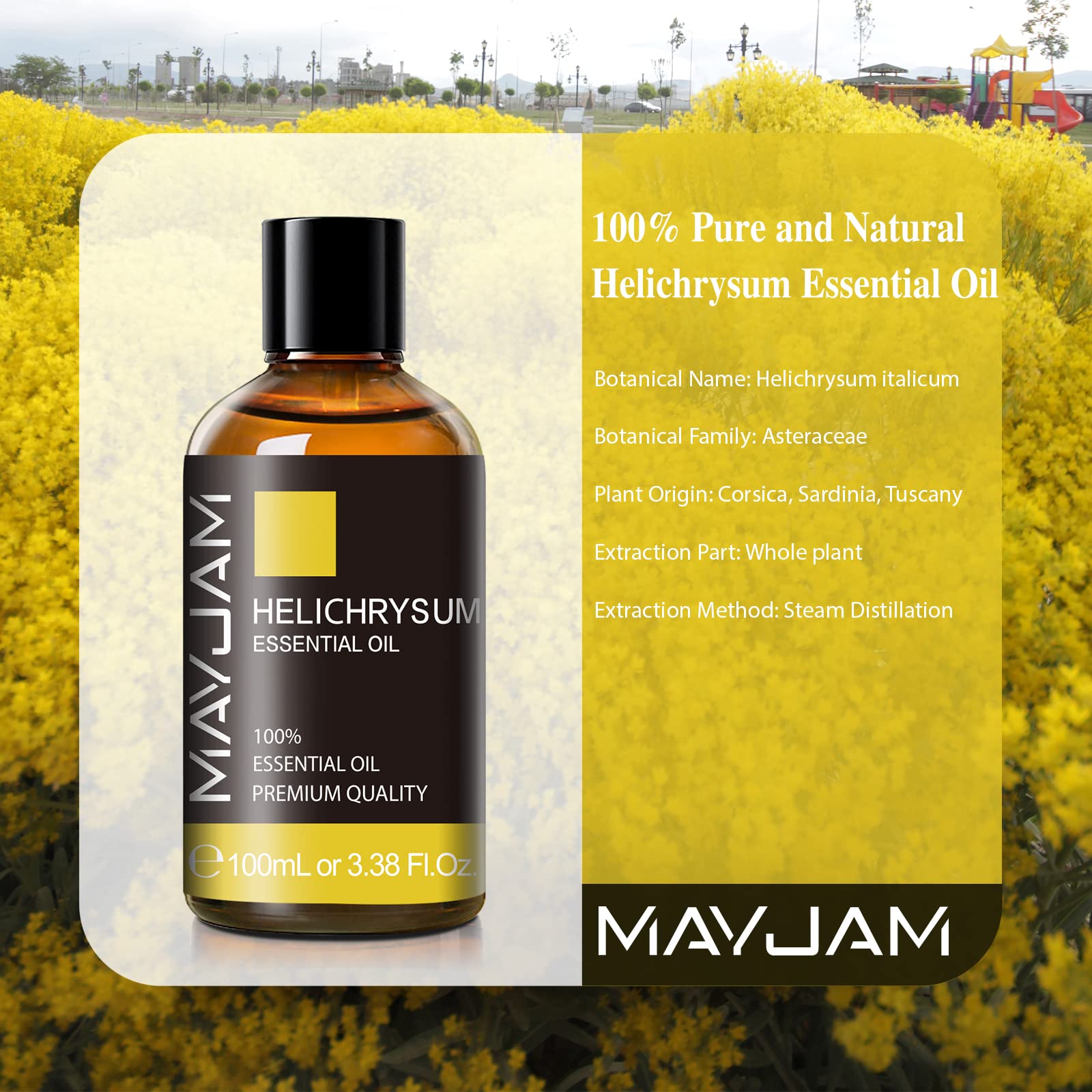 MAYJAM Helichrysum oil ideal for diffusers