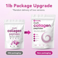 Illustration of collagen types I, II, III, V, X with hyaluronic acid ingredients