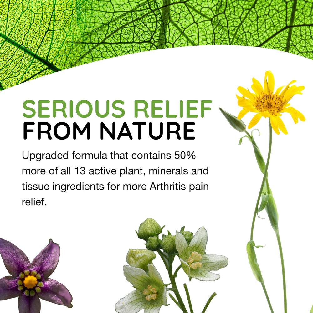 MediNatura T-Relief natural ingredients illustration for holistic relief.