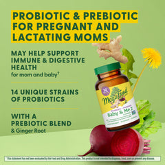 Illustration of ginger root and prebiotic ingredients used in the formula