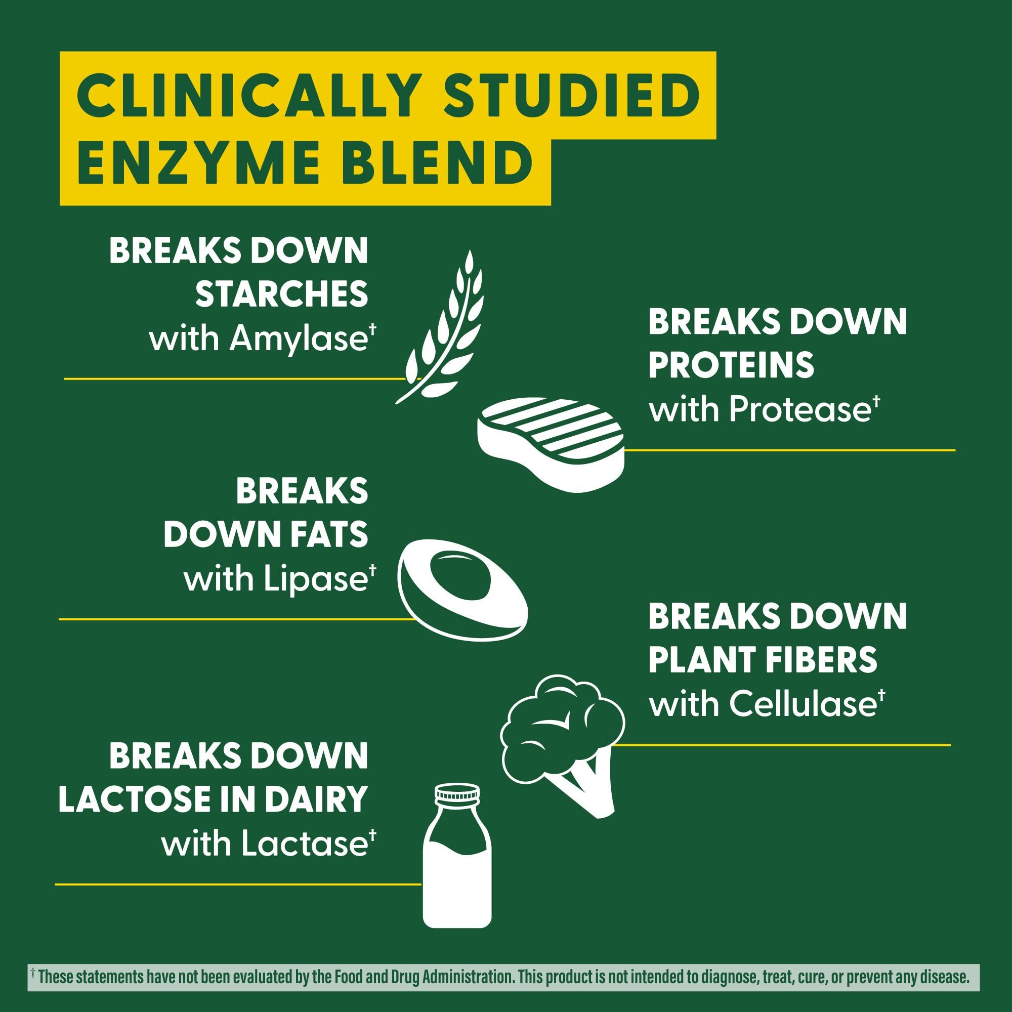 Graphic illustrating five enzymes: amylase, protease, lipase, cellulase, lactase