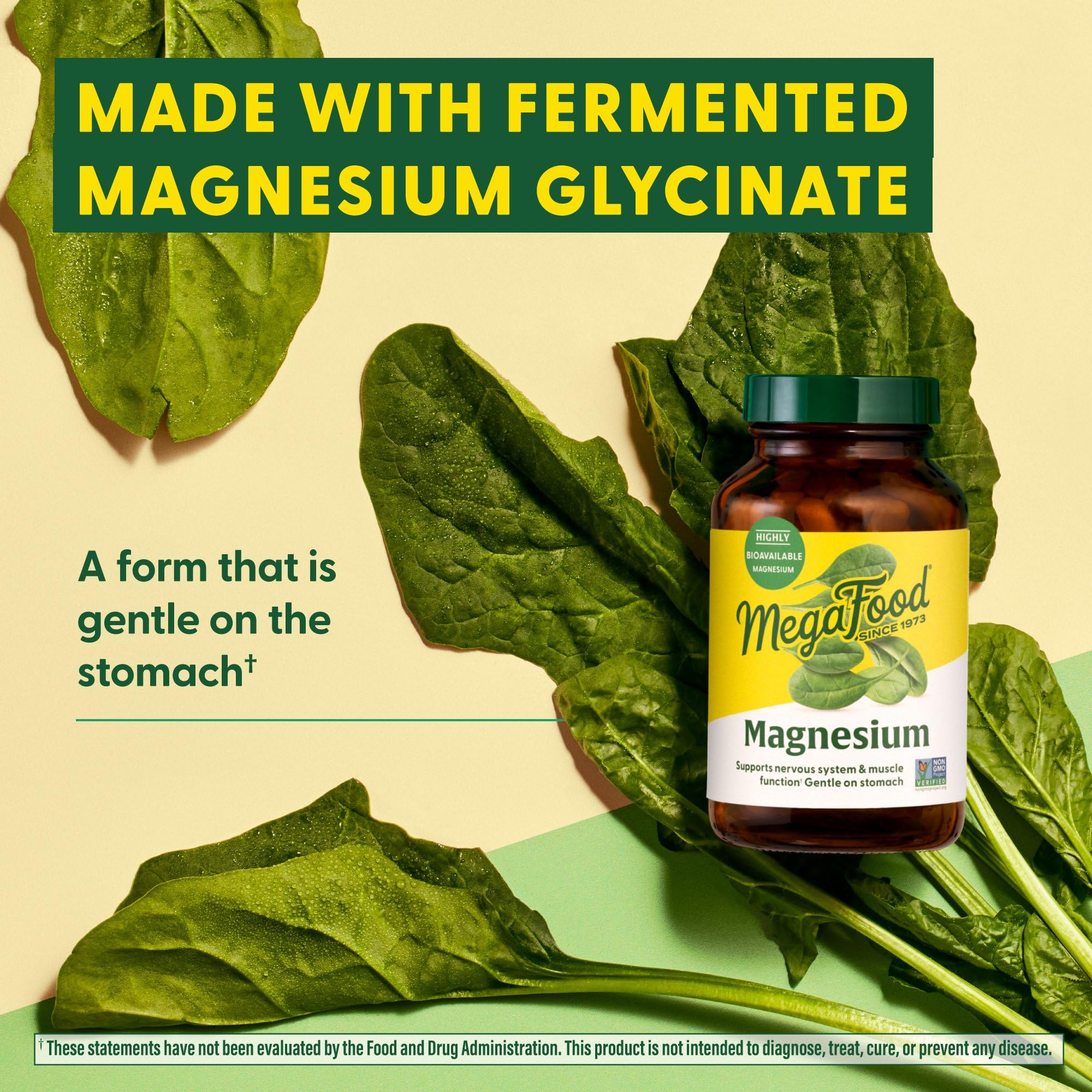 Fermented Magnesium Glycinate ingredients concept