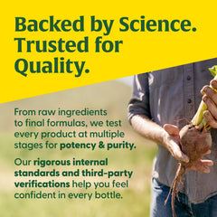 Vegetarian, gluten-free, non-GMO, allergen-free icons for MegaFood MegaFlora Probiotic Plus