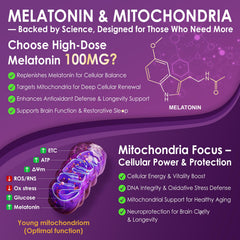 Liposomal delivery absorption illustration