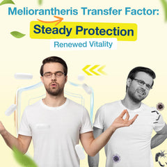Meliorantheris Transfer Factor 1800mg product lineup and capsules