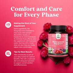 Menopause vitamins B2 B6 D3 for hormone balance