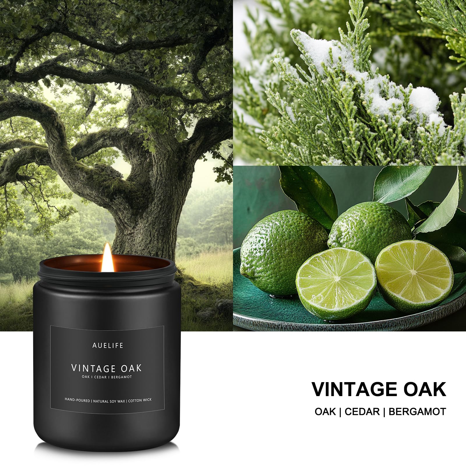 Men's candle with vintage oak woodsy scent in black jar