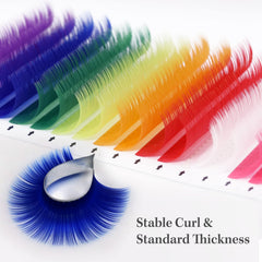 Mereton 8-color box lets you switch styles in one box for versatile days.