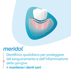 Two tubes of Meridol Gencives Irritees Dentifrice 75 ml each