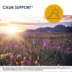 Active ingredients infographic highlighting 5-MTHF