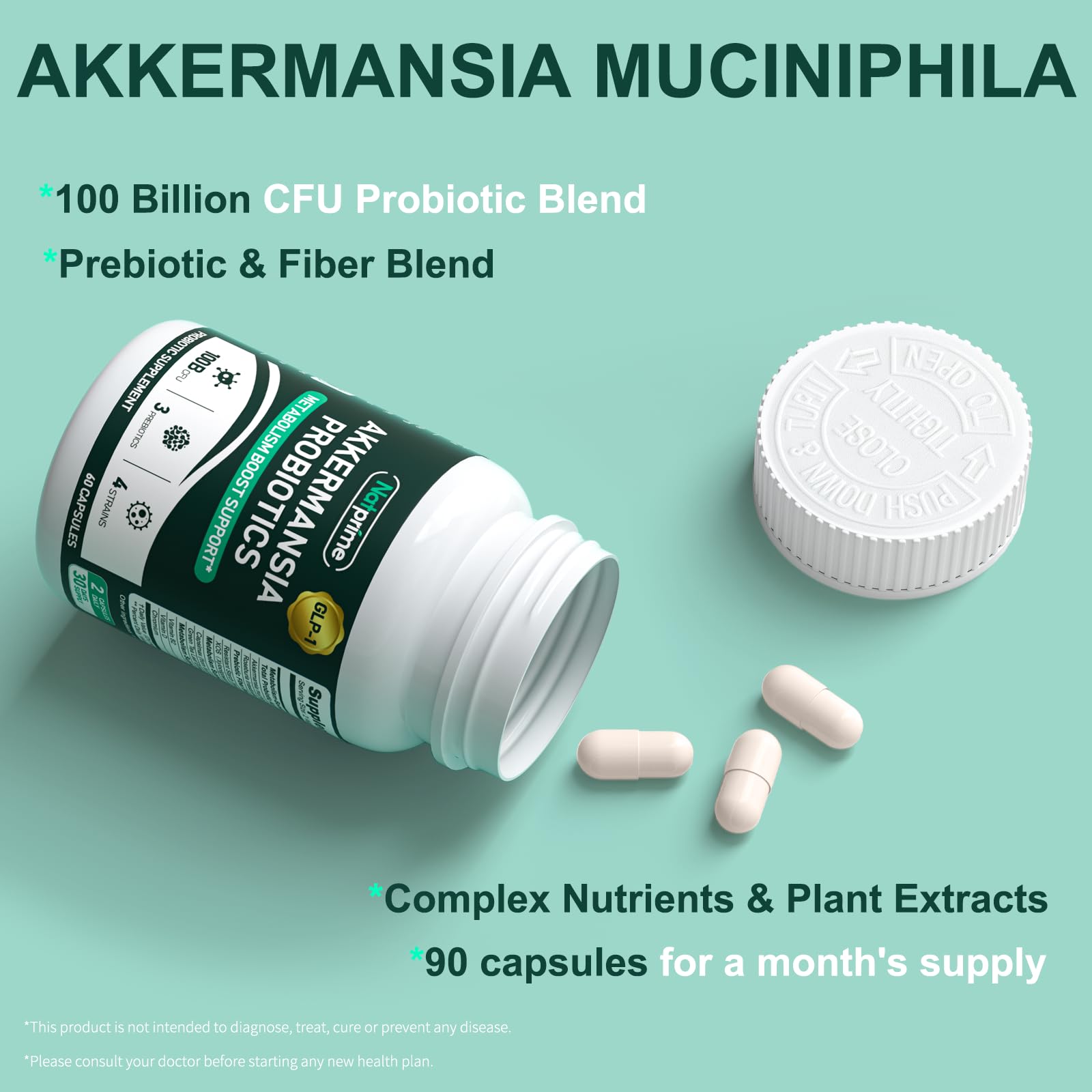 Infographic of metabolism and energy support