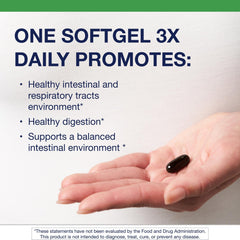 Digestive health and microbial balance concept image for Metagenics CandiBactin-AR