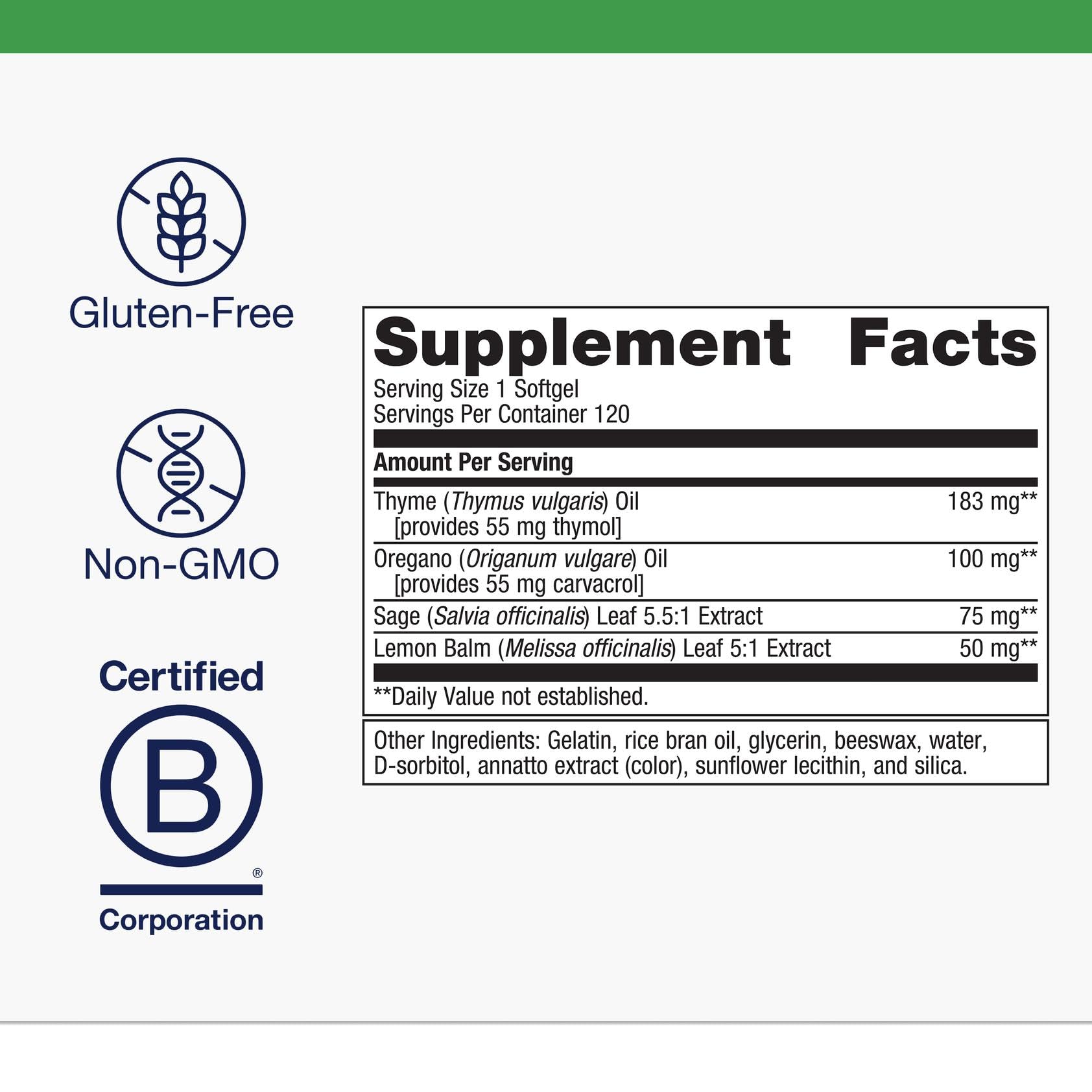 Close-up of oregano, thyme, sage, and lemon balm ingredients