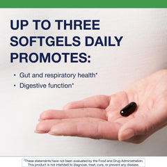 Candibactin-AR oregano-thyme blend image suggests gut balance support.