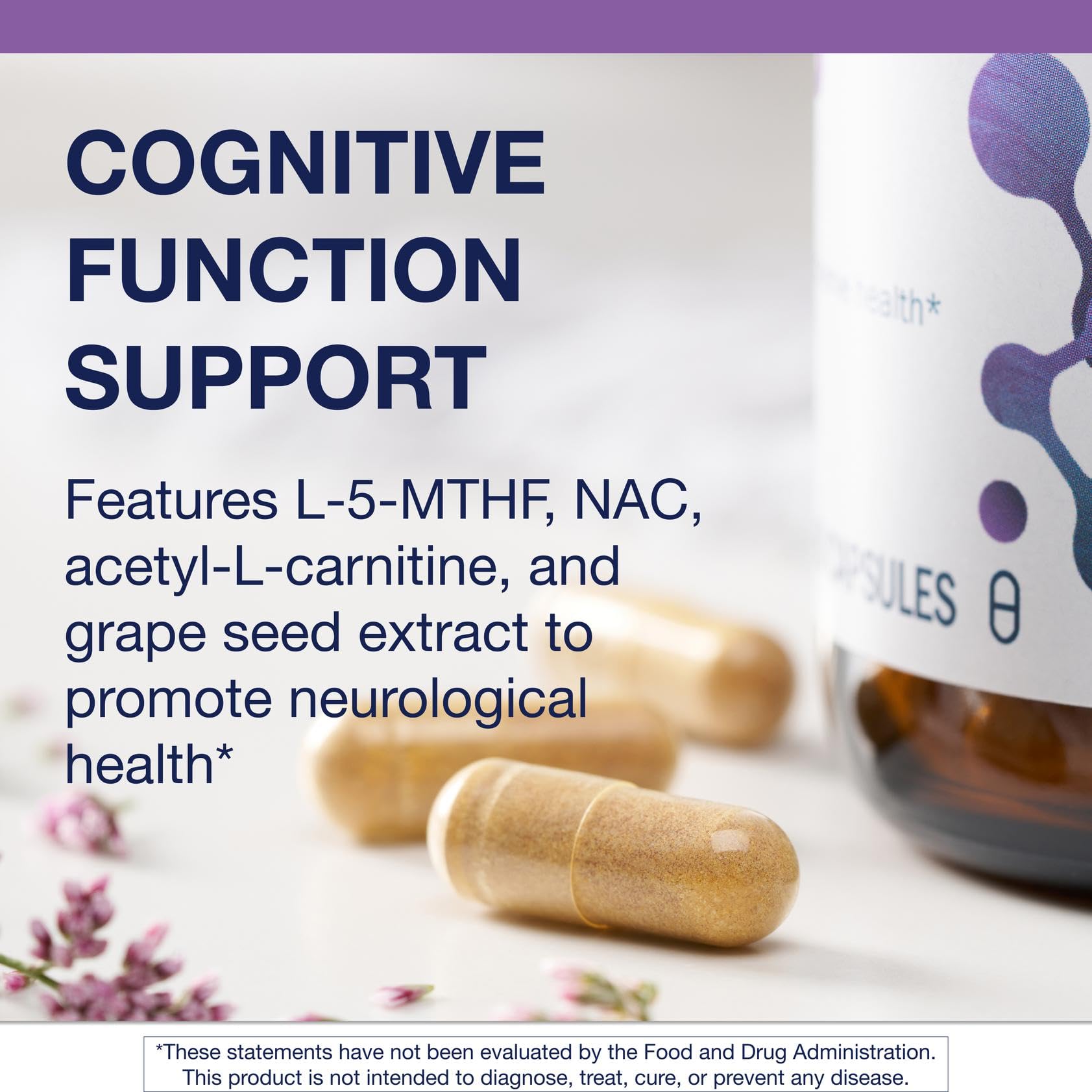 Ingredients highlight for Metagenics Ceralin Forte including B vitamins, acetyl-L-carnitine and N-acetylcysteine