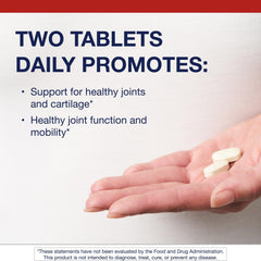 Graphic illustrating joint health and mobility support