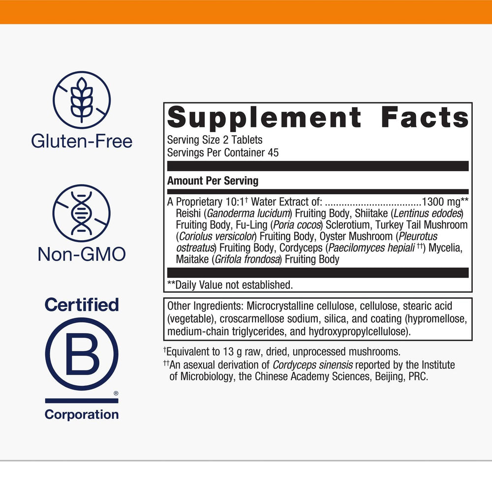 Illustration of the seven mushrooms: reishi, shiitake, fu-ling, turkey tail, cordyceps, oyster, maitake