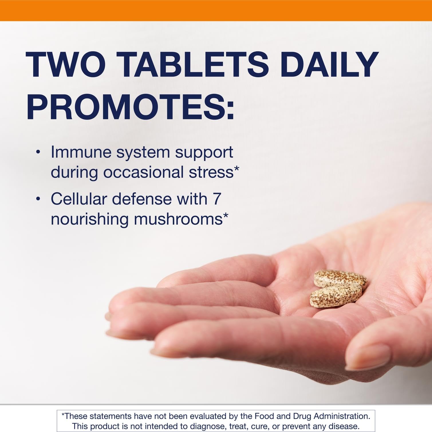 Close-up of mushroom extracts highlighting beta-glucans for immune support