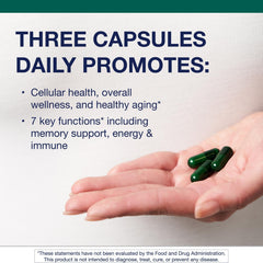 Metagenics PhytoMulti phytonutrient blend featuring Mediterranean-inspired plant extracts.