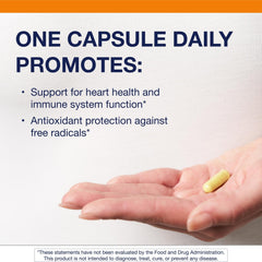 Quercetin provides antioxidant protection