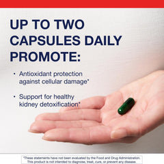 B vitamins: B6, folate, and B12 on label