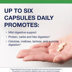 Broad-Spectrum plant-based enzymes for protein, fat and carbohydrate breakdown