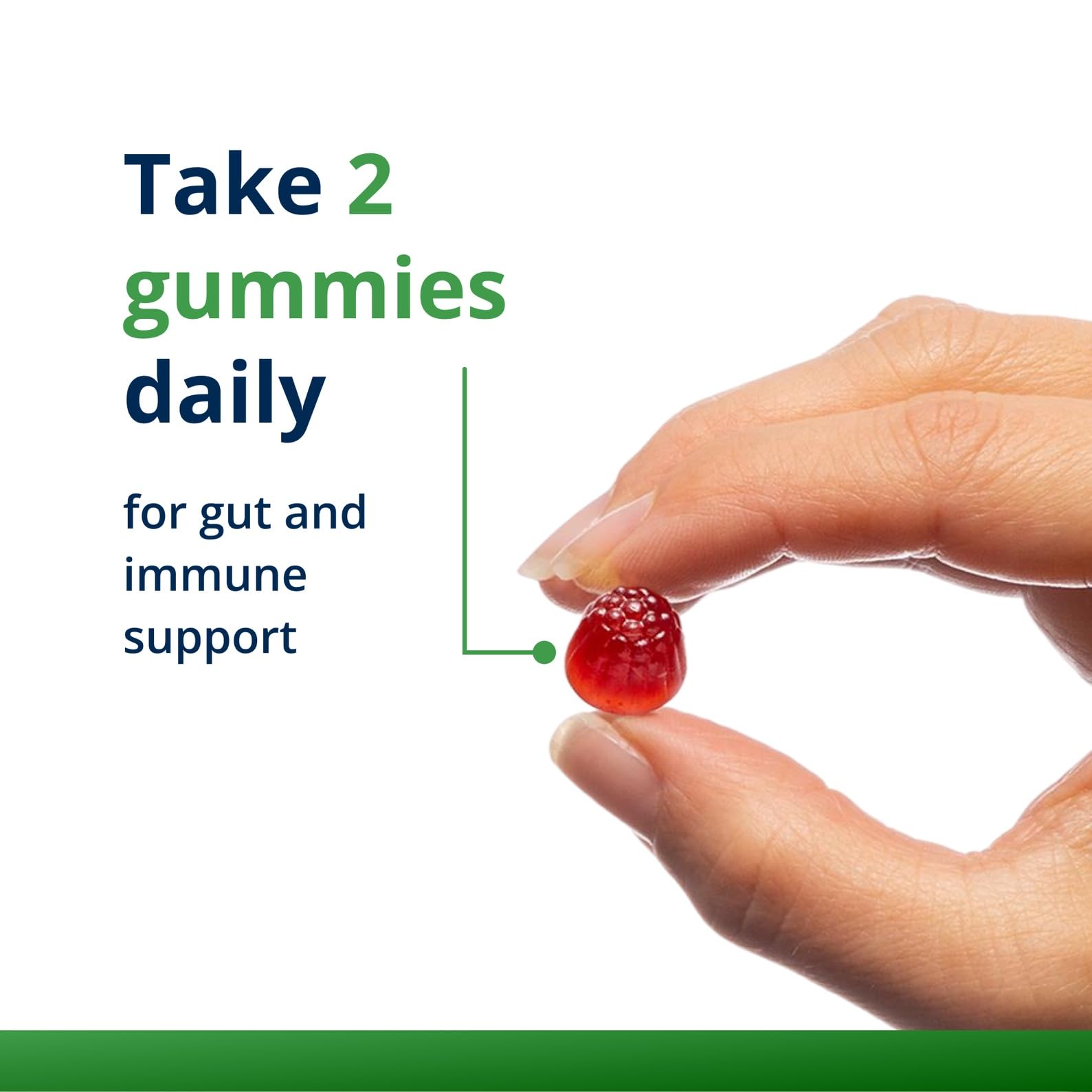 Shelf-stable probiotic gummies no refrigeration required