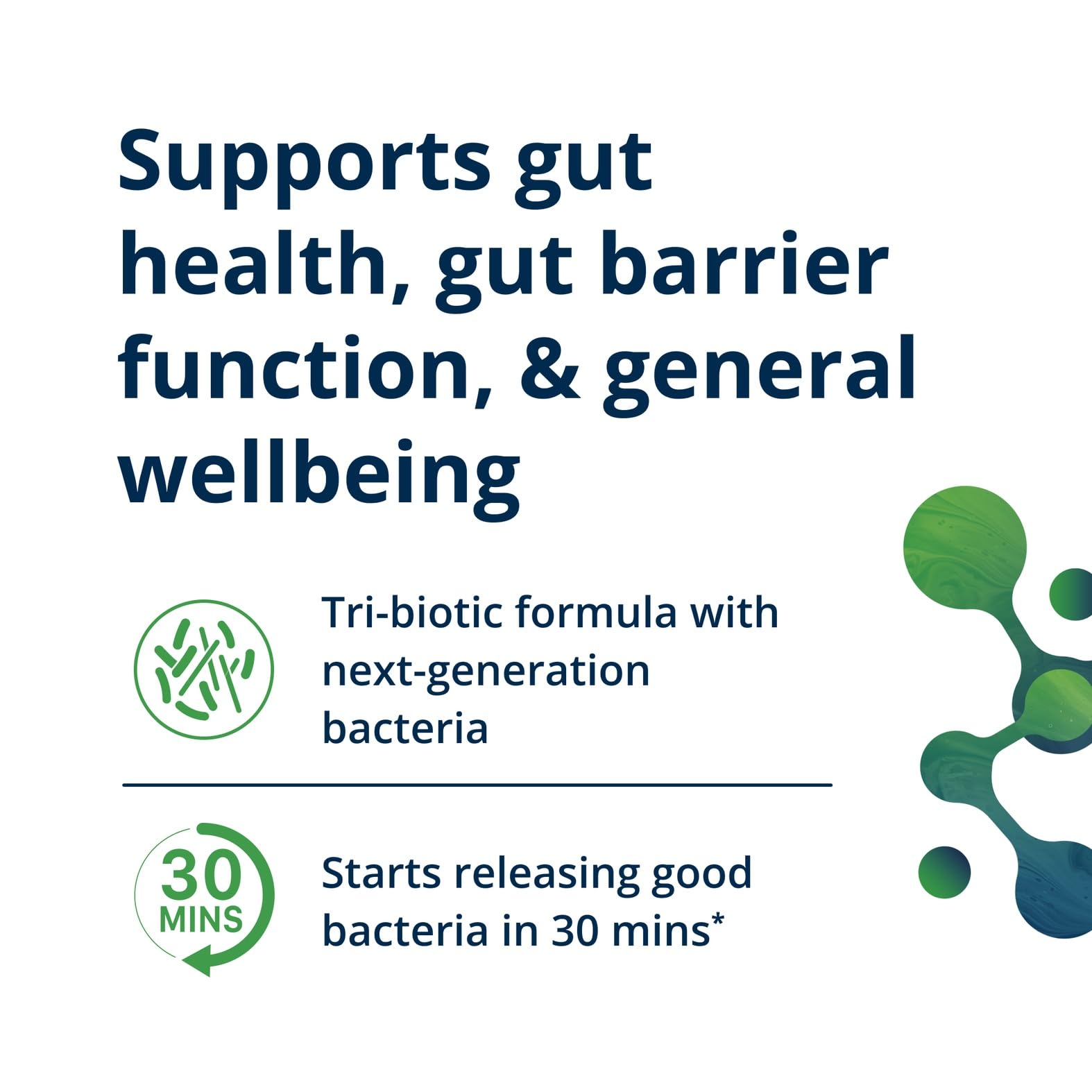 Illustration of Akkermansia and gut bacteria